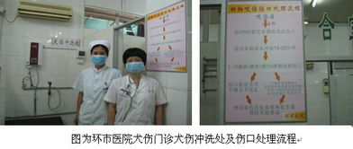 環(huán)市醫(yī)院犬傷門診正式啟用 拓展社區(qū)服務版圖，筑牢公共衛(wèi)生防線